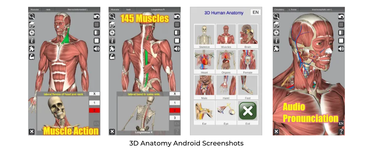 3D Anatomy Android Screenshots