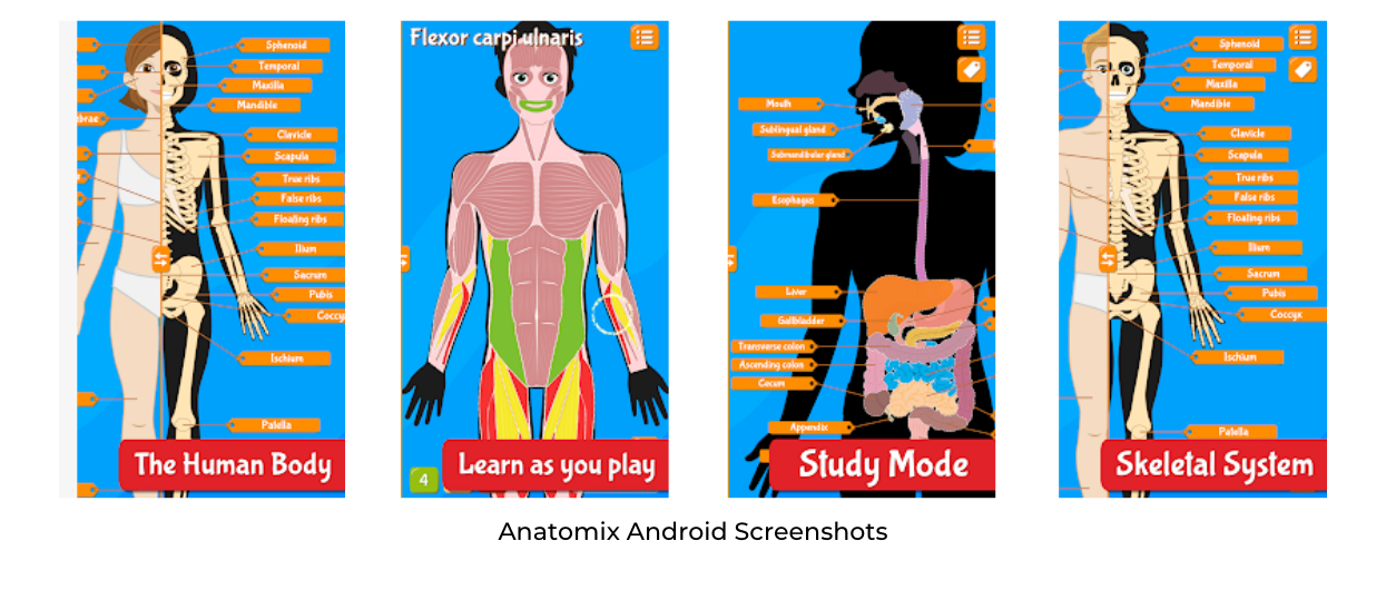 Anatomix Android Screenshots