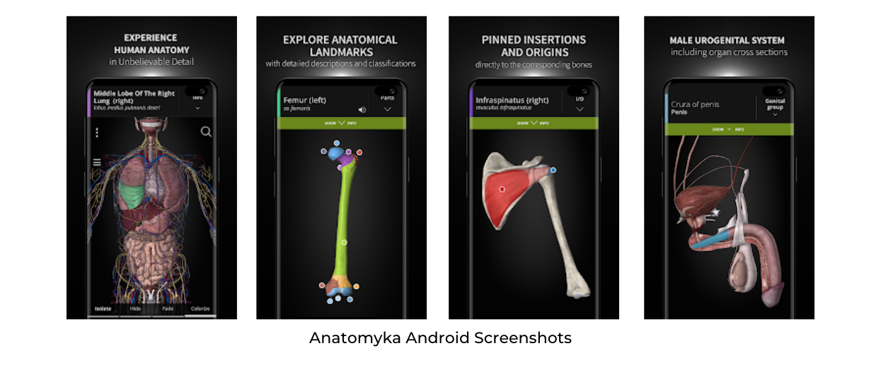 Anatomyka Android Screenshots
