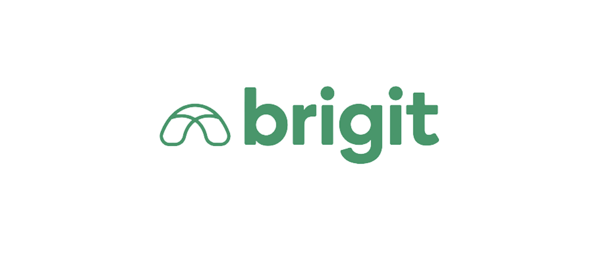 Brigit app like Earnin