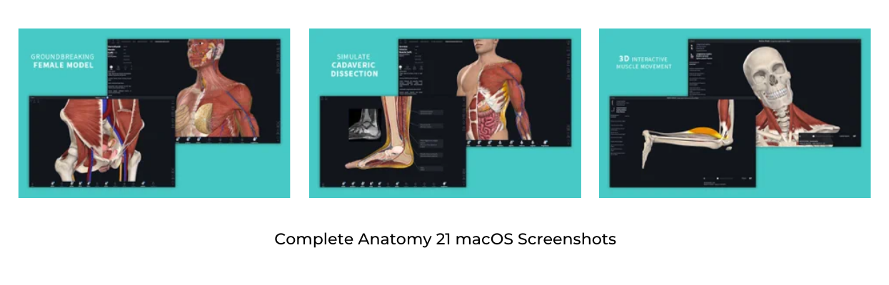 Complete Anatomy 21 macOS Screenshots
