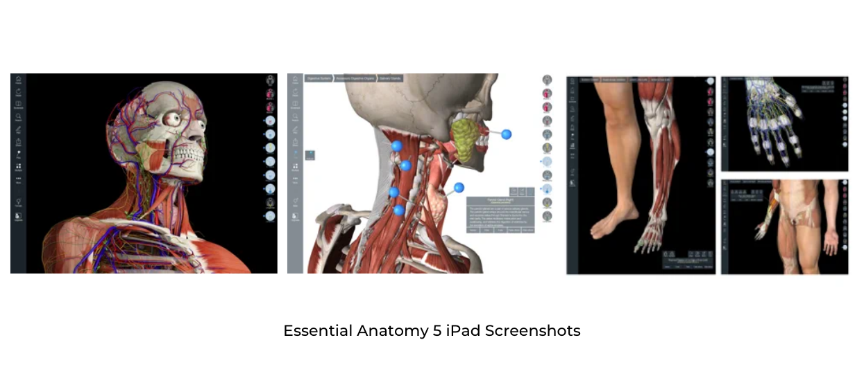 Essential Anatomy 5 iPad Screenshots