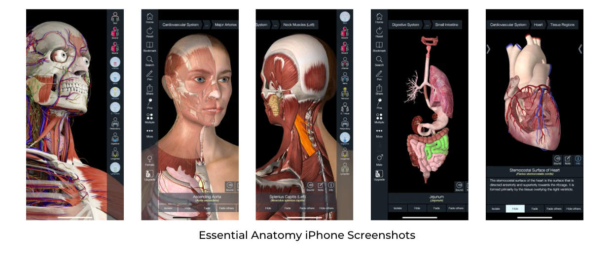 Essential Anatomy iPhone Screenshots