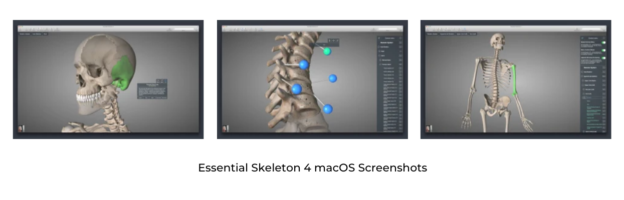 Essential Skeleton 4 macOS Screenshots