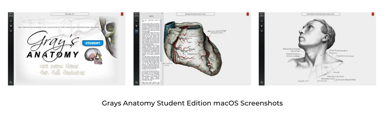 Grays Anatomy Student Edition macOS Screenshots