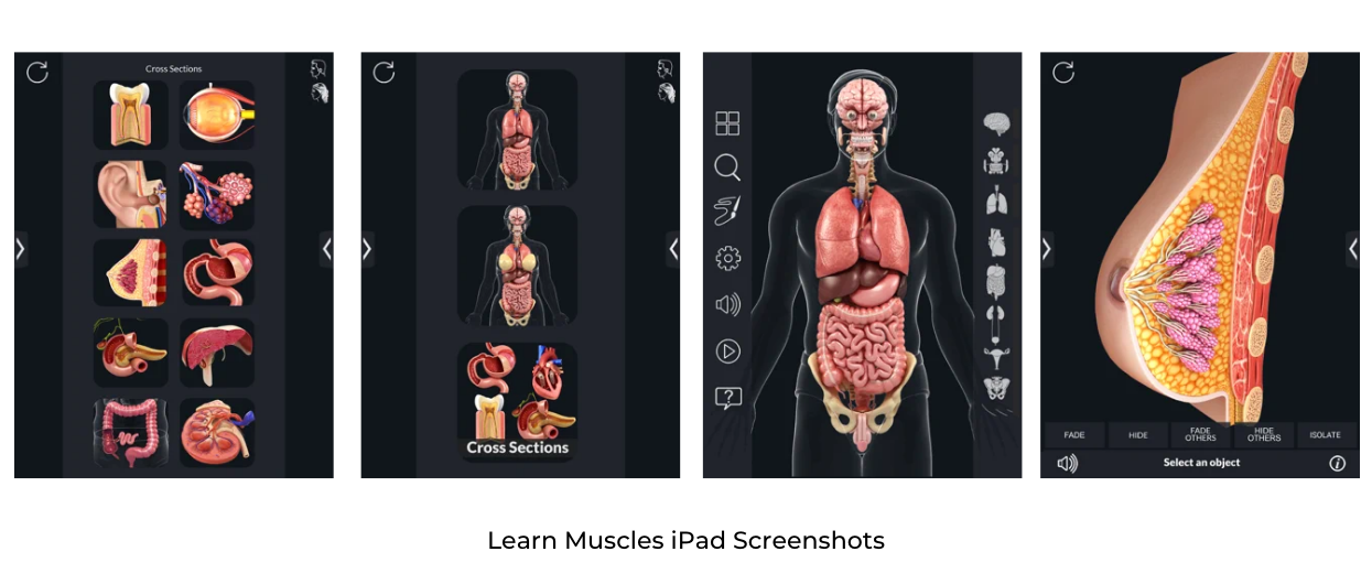 Learn Muscles iPad Screenshots