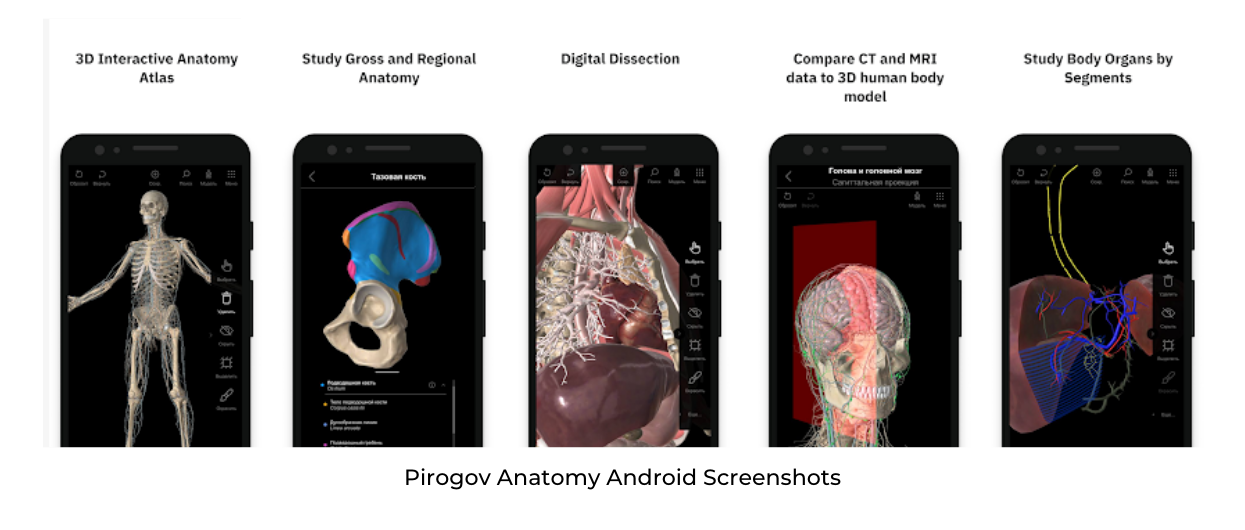 Pirogov Anatomy Android Screenshots