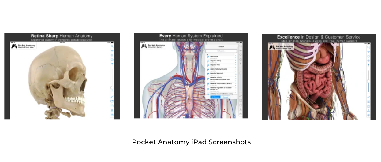 Pocket Anatomy iPad Screenshots